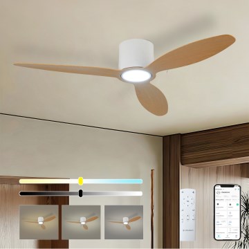 ZEVENTI - LED stlmiteľný stropný ventilátor VENTORA LED/24W/230V 3000/4000/6000K Wi-Fi Tuya biela/dub + diaľkové ovládanie