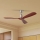 ZEVENTI - Stropný ventilátor LIONI Wi-Fi Tuya matný chróm/dub + diaľkové ovládanie
