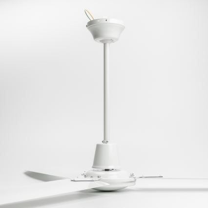 ZEVENTI - Stropný ventilátor TOFINO biela