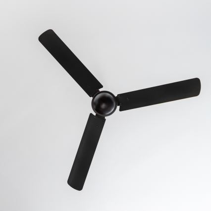 ZEVENTI - Stropný ventilátor TOFINO čierna