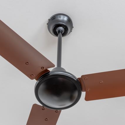 ZEVENTI - Stropný ventilátor TOFINO hnedá