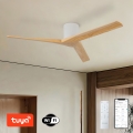 ZEVENTI - Stropný ventilátor VELLON Wi-Fi Tuya biela/pavlovnia + diaľkové ovládanie