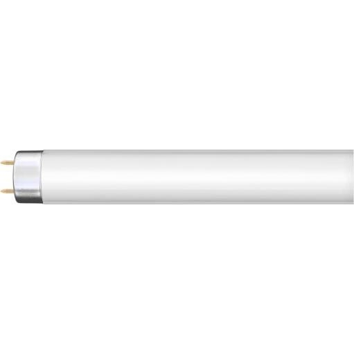 Žiarivková trubica G13/36W/230V 120 cm
