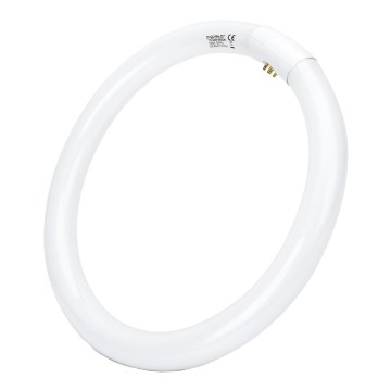 Žiarivková trubica T9 G10q/32W/230V 6500K - Aigostar