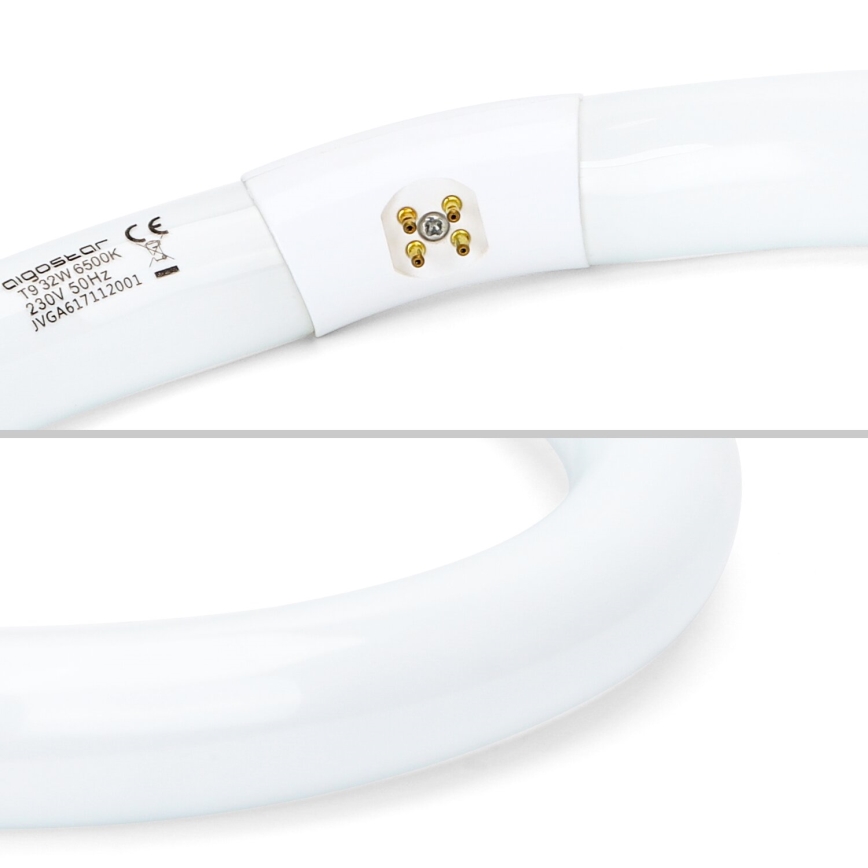 Žiarivková trubica T9 G10q/32W/230V 6500K - Aigostar