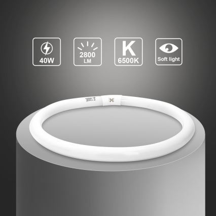 Žiarivková trubica T9 G10q/40W/230V 6500K - Aigostar