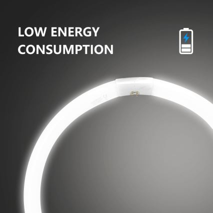 Žiarivková trubica T9 G10q/40W/230V 6500K - Aigostar