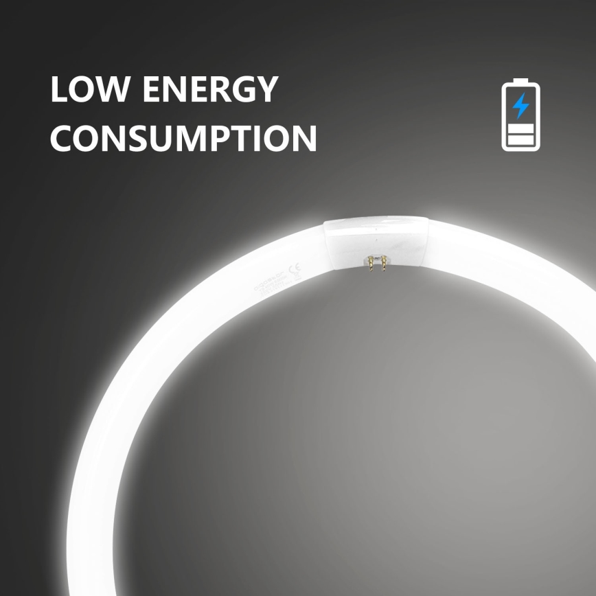 Žiarivková trubica T9 G10q/40W/230V 6500K - Aigostar