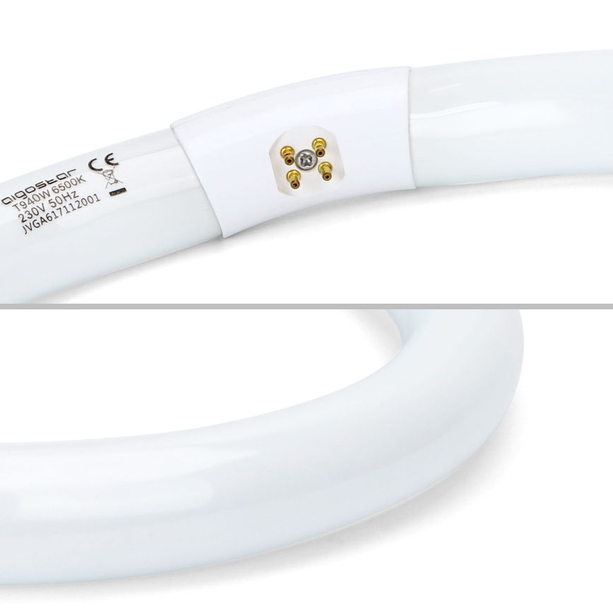 Žiarivková trubica T9 G10q/40W/230V 6500K - Aigostar