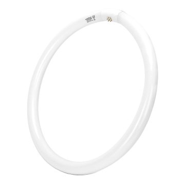 Žiarivková trubica T9 G24q-1/40W/230V 6500K - Aigostar