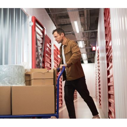 Žiarivkové svietidlo T8 DELFIA 2xG13/18W/230V 124 cm biele