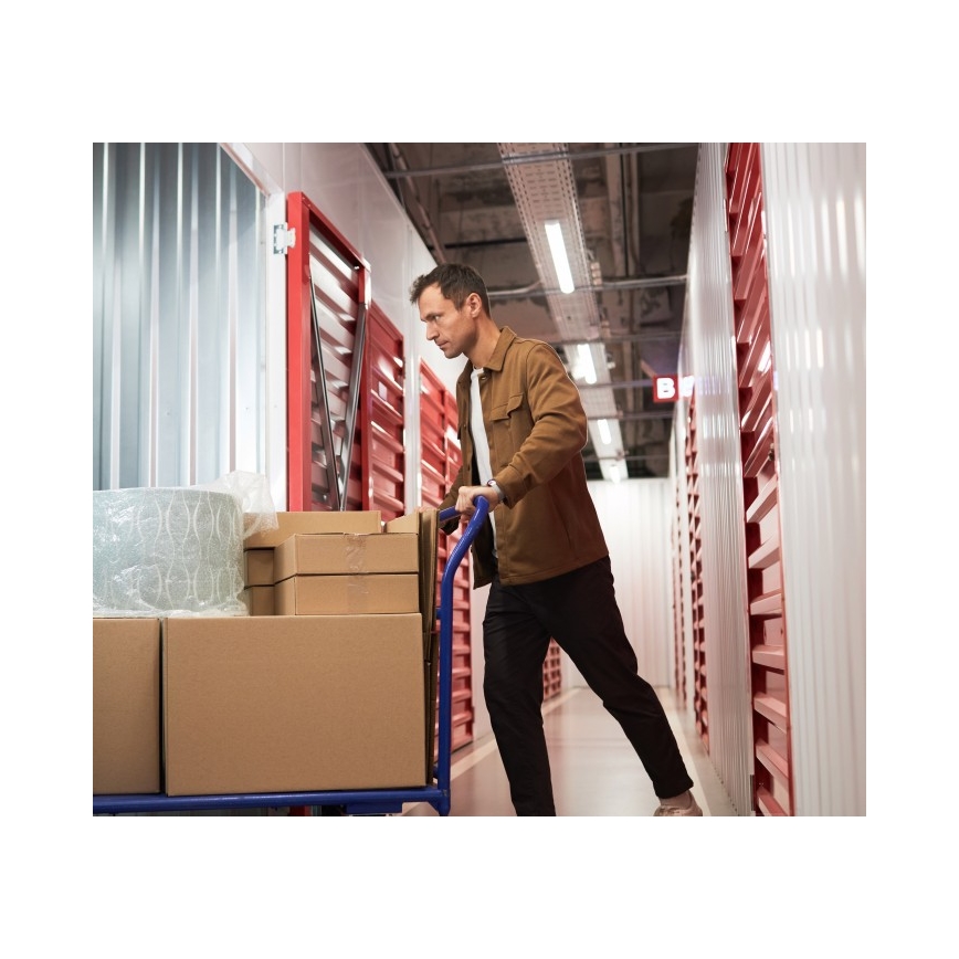 Žiarivkové svietidlo T8 DELFIA 2xG13/18W/230V 124 cm biele