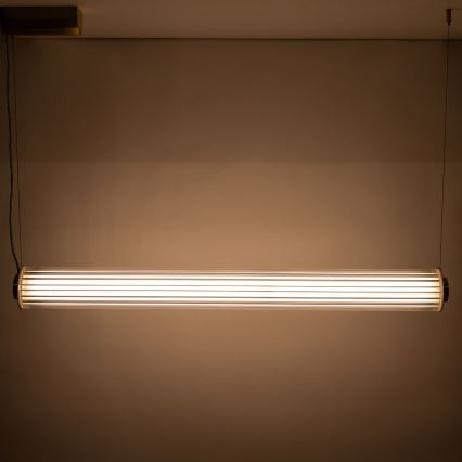 Zuma Line - LED stmievateľný luster na lankovom zavesení LED/39W/230V 2700-6500K zlatý + diaľkové ovládanie