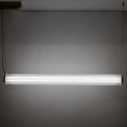 Zuma Line - LED stmievateľný luster na lankovom zavesení LED/39W/230V 2700-6500K zlatý + diaľkové ovládanie