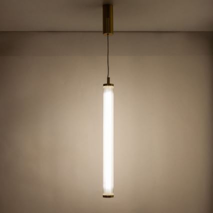 Zuma Line - Stmievateľný LED luster na lanku LED/26W/230V 2700-6500K zlatá + diaľkové ovládanie