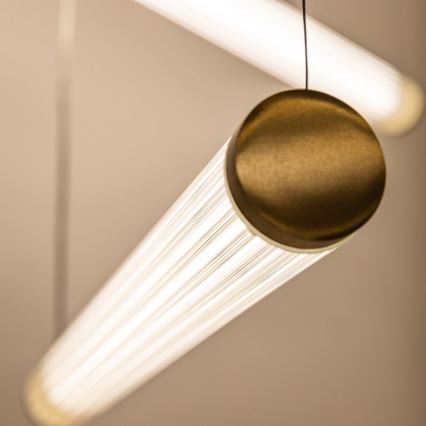 Zuma Line - stmievateľný LED luster na lanku LED/64W/230V 2700-6500K zlatý + diaľkové ovládanie