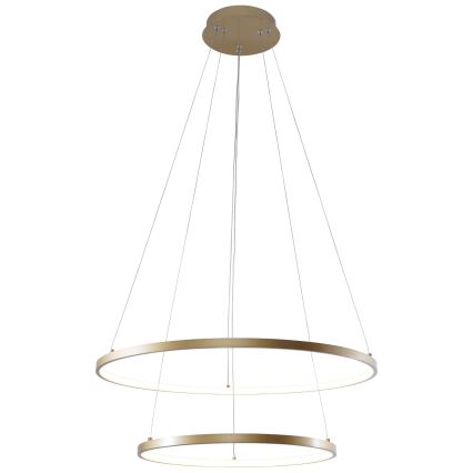 Zuma Line - LED Luster na lanku LED/50W/230V 3000/4000/6000K pr. 60 cm zlatá