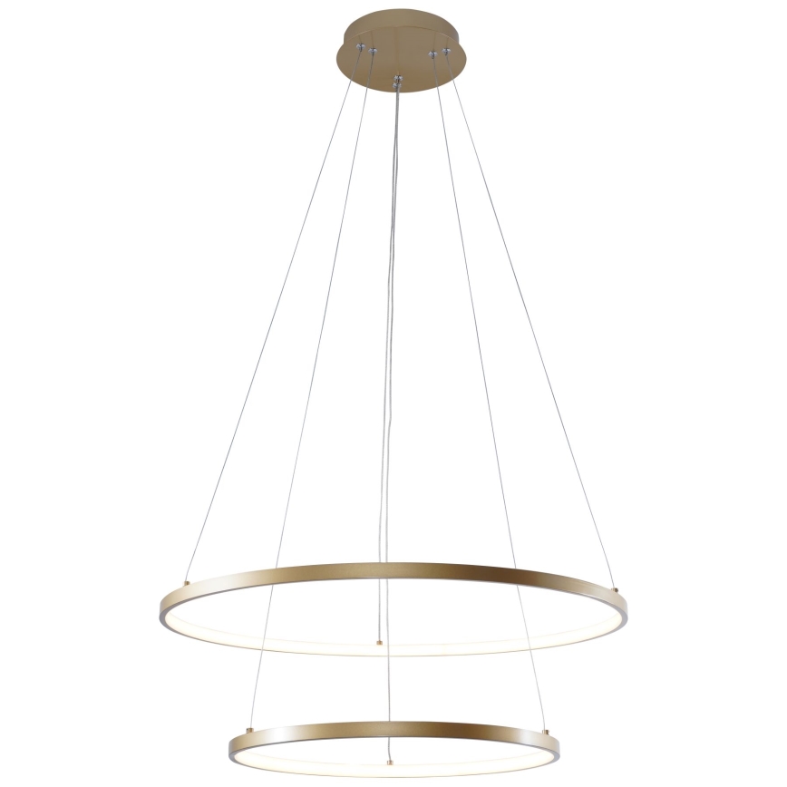 Zuma Line - LED Luster na lanku LED/50W/230V 3000/4000/6000K pr. 60 cm zlatá