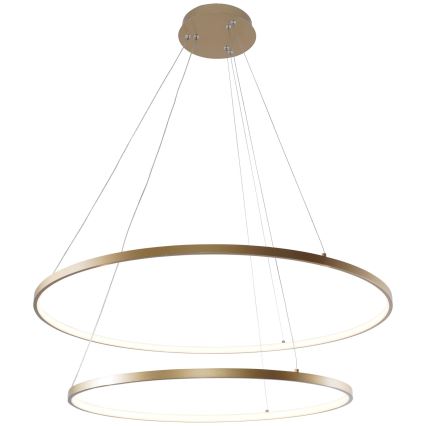 Zuma Line - LED Luster na lanku LED/60W/230V 3000/4000/6000K pr. 80 cm zlatá