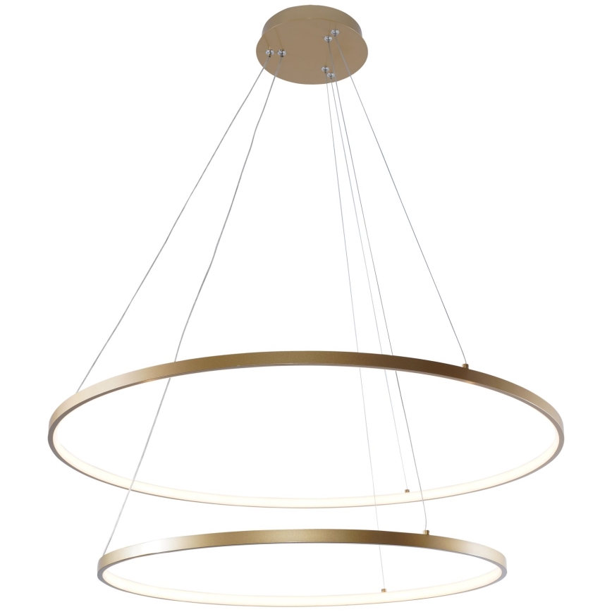 Zuma Line - LED Luster na lanku LED/60W/230V 3000/4000/6000K pr. 80 cm zlatá