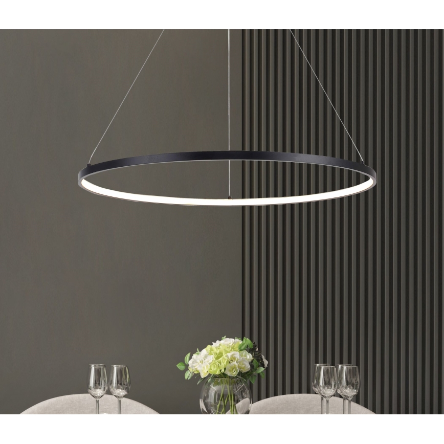 Zuma Line - LED Luster na lanku LED/36W/230V 3000/4000/6000K pr. 80 cm čierna