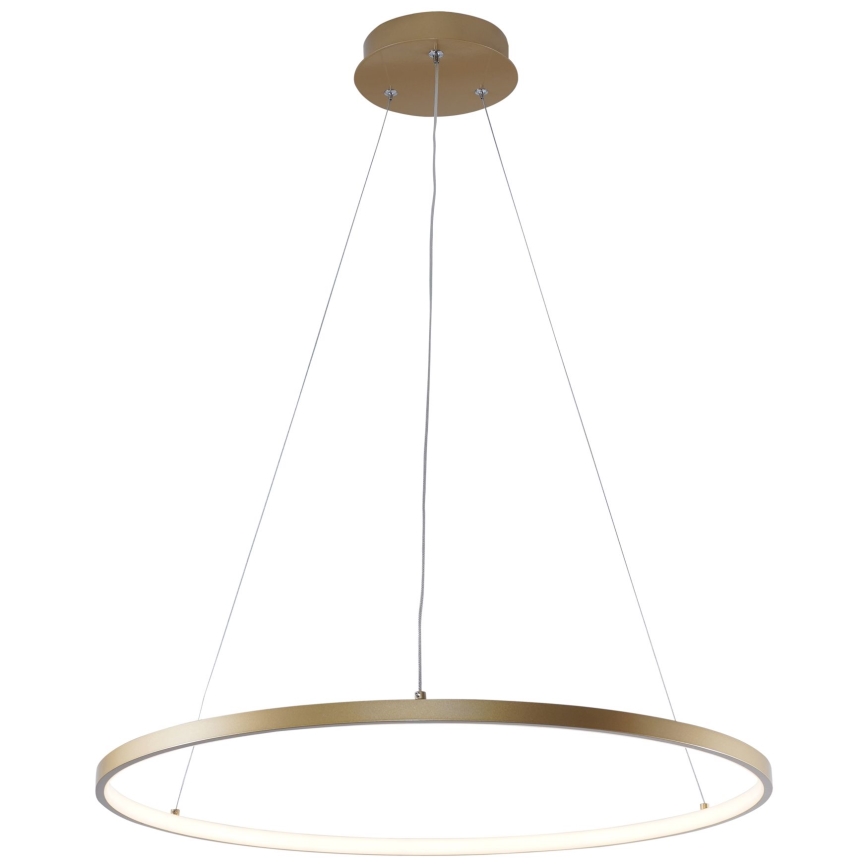 Zuma Line - LED Luster na lanku LED/28W/230V 3000/4000/6000K pr. 60 cm zlatá