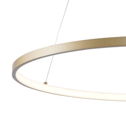 Zuma Line - LED Luster na lanku LED/28W/230V 3000/4000/6000K pr. 60 cm zlatá
