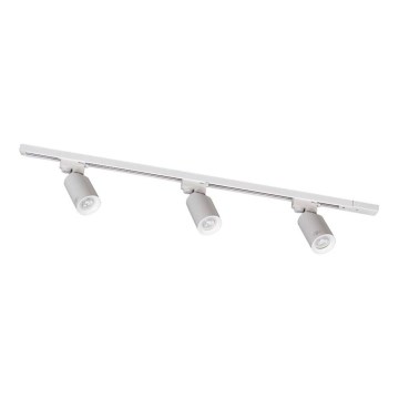 Zuma Line - Bodové svietidlo do lištového systému 3xGU10/35W/230V biela