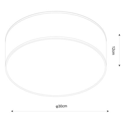 Zuma Line - Stropné svietidlo CLARA 2xE14/40W/230V čierna