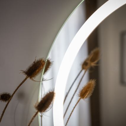 Zuma Line - LED kúpeľňové nástenné zrkadlo s LED podsvietením/36W/230V 3000/4000/6000K pr. 80 cm IP44