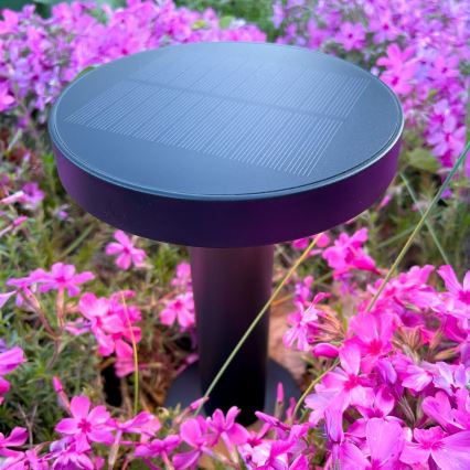 Zuma Line - LED Stmievateľná solárna nabíjacia stolná lampa LED/2W/2000 mAh IP44 čierna