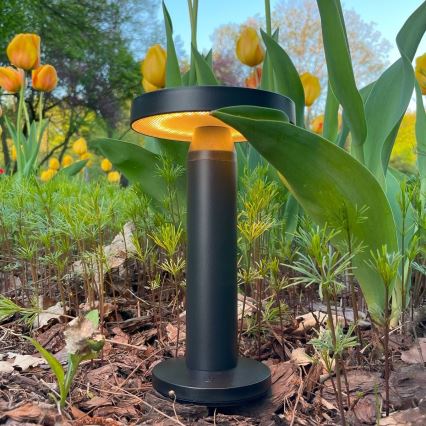 Zuma Line - LED Stmievateľná solárna nabíjacia stolná lampa LED/2W/2000 mAh IP44 čierna