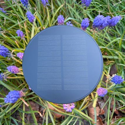 Zuma Line - LED Stmievateľná solárna nabíjacia stolná lampa LED/2W/2000 mAh IP44 čierna
