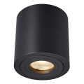 Zuma Line - Kúpeľňové bodové svietidlo 1xGU10/50W/230V IP44 čierna
