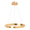 Zuma Line - LED luster na lane LED/30W/230V 40 cm zlatý