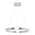 Zuma Line - LED Luster na lanku CARLO LED/40W/230V pr.50cm strieborná