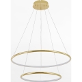 Zuma Line - LED Luster na lanku LED/40W/230V zlatá