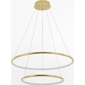 Zuma Line - LED Luster na lanku LED/40W/230V zlatá