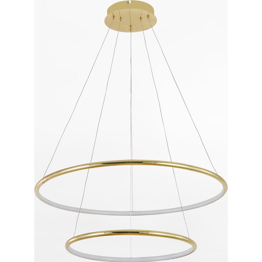 Zuma Line - LED Luster na lanku LED/40W/230V zlatá