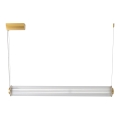 Zuma Line - LED stmievateľný luster na lankovom zavesení LED/39W/230V 2700-6500K zlatý + diaľkové ovládanie
