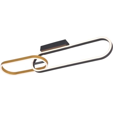 Zuma Line - LED Stropné svietidlo 2xLED/24W/230V čierna/zlatá