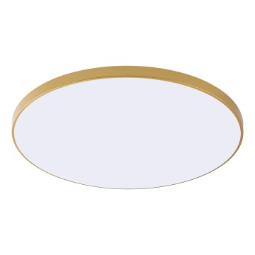 Zuma Line - LED stropné svietidlo VERI LED/44W/230V priemer 47 cm zlaté