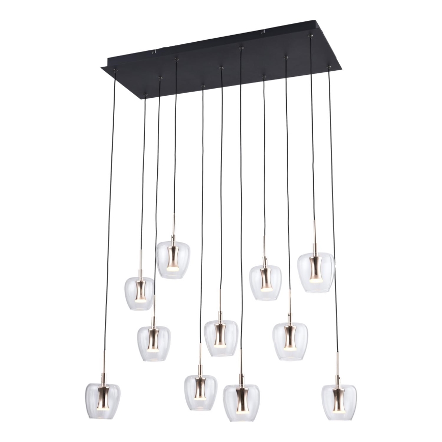 Zuma Line - LED závesný luster na lanku 11xLED/3W/230V čierny