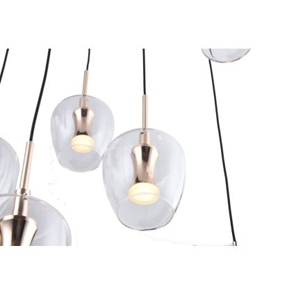 Zuma Line - LED závesný luster na lanku 11xLED/3W/230V čierny