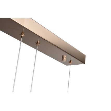 Zuma Line - LED luster na lanku LED/36W/230V ružové zlato