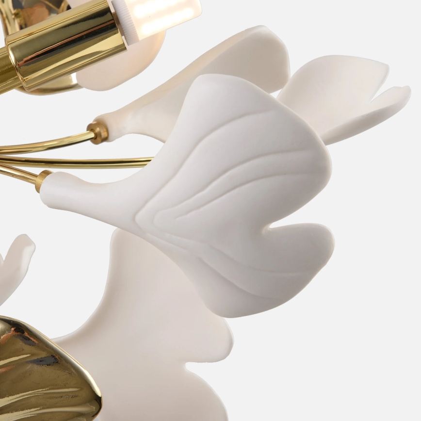 Zuma Line - Prisadený luster 6xG9/42W/230V, priemer 70 cm, zlatý