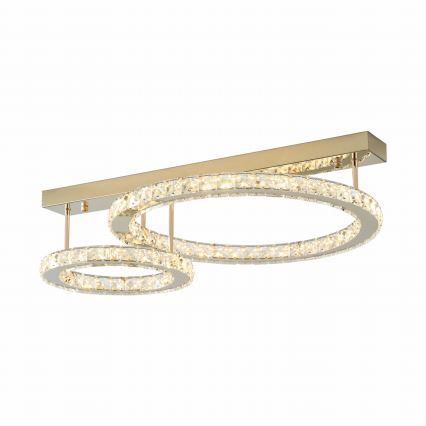Zuma Line - LED stmievateľné stropné svietidlo LED/36W/230V zlaté