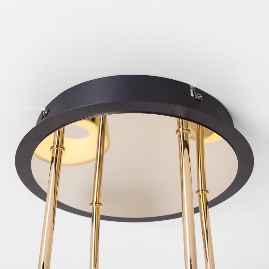 Zuma Line - LED stmievateľný prisadený luster LED/60W/230V zlatá/čierna