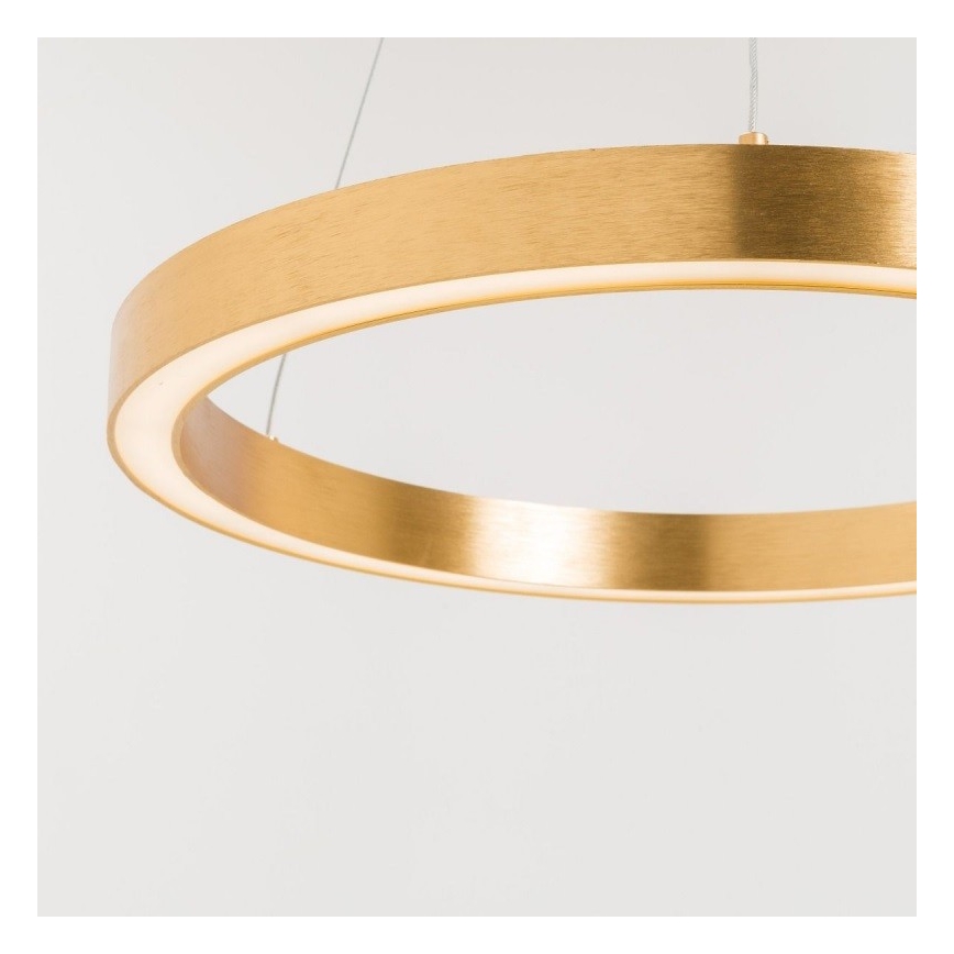 Zuma Line - LED Luster na lanku 1xLED/40W/230V pr. 50 cm zlatá