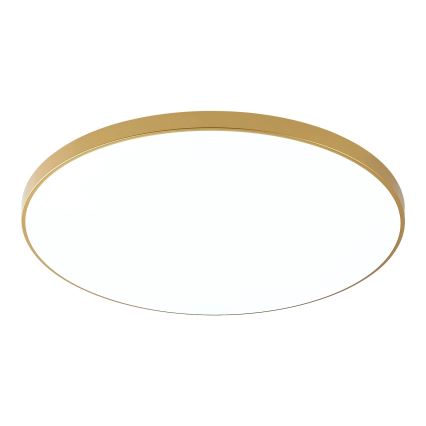 Zuma Line - LED stropné svietidlo VERI LED/44W/230V pr. 47 cm zlaté